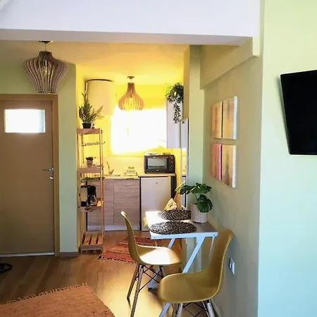 Apartamento Tropical Loft With View Volos