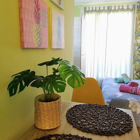 Apartamento Tropical Loft With View