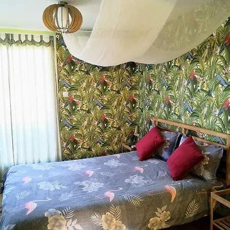 アパート Tropical Loft With View ヴォロス